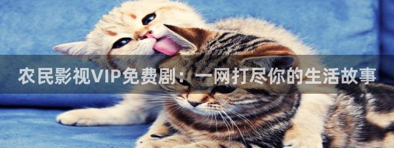 泡泡影视高清版