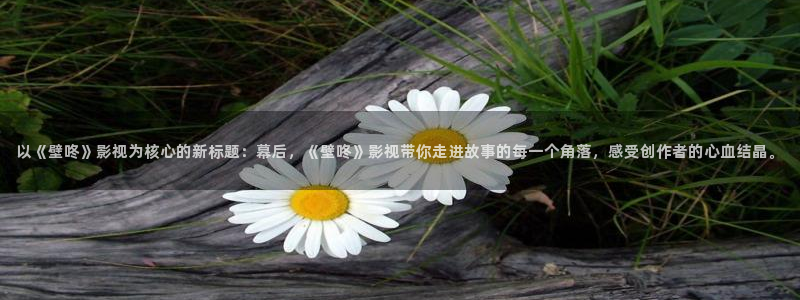 泡泡影视影视大全：以《壁咚》影视为核心的新标题：幕后，《壁咚》影视带你走进故事的每一个角落，感受创作者的心血结晶。