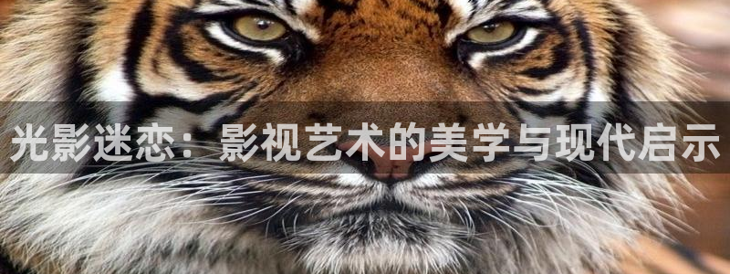 制作泡泡：光影迷恋：影视艺术的美学与现代启示