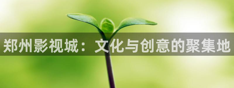 猪泡泡电影：郑州影视城：文化与创意的聚集地