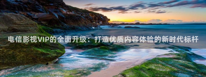 泡泡影视下载