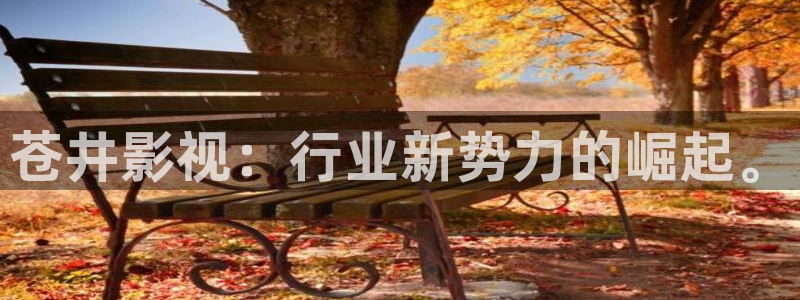 泡泡观影
